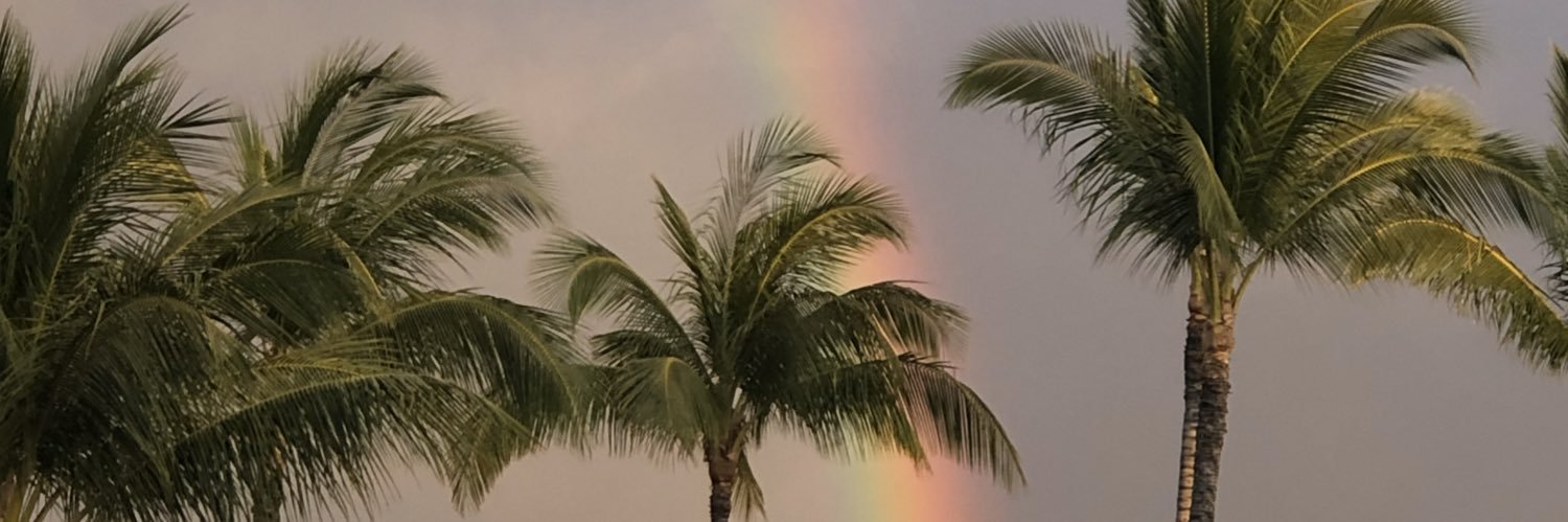 vinegrl's profile banner image