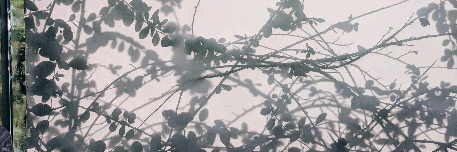 evyevenly's profile banner image