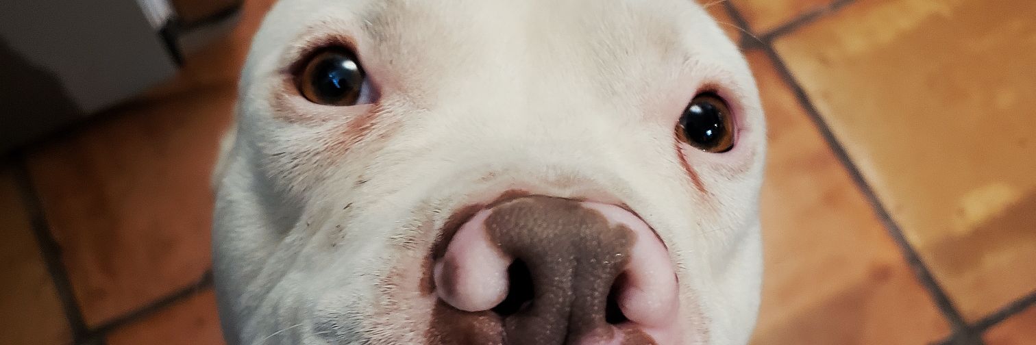 elcesarcardenas's profile banner image