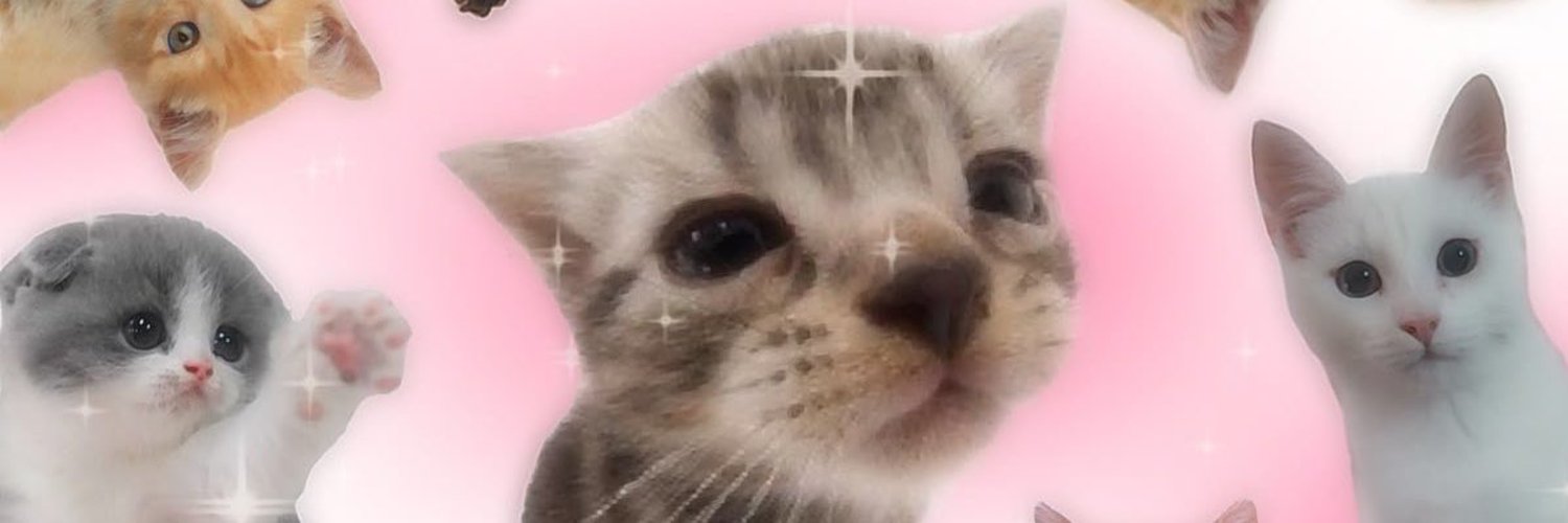 liviaxvs's profile banner image