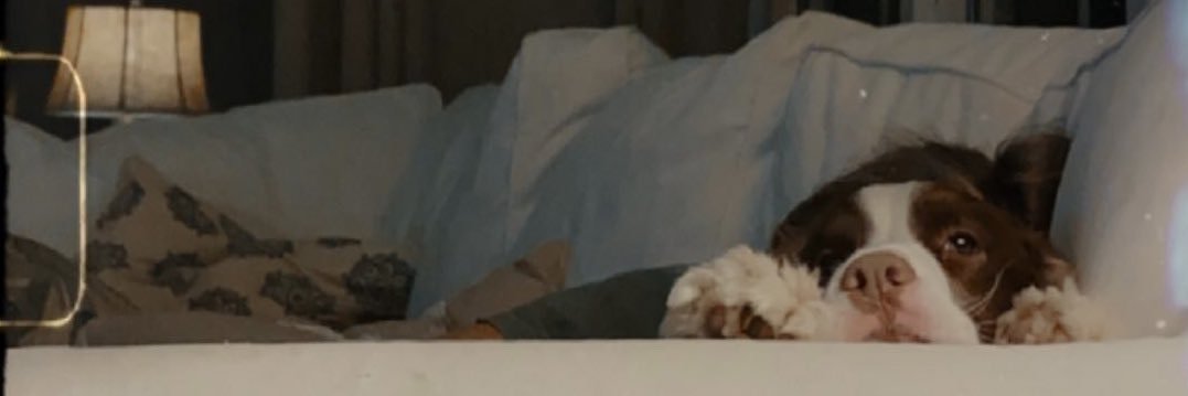 jfclare's profile banner image