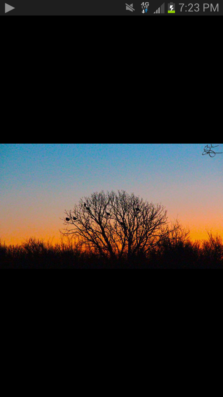 Stef_life's profile banner image