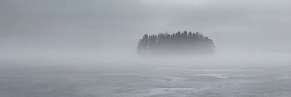 ParviainenTiina Profile Banner