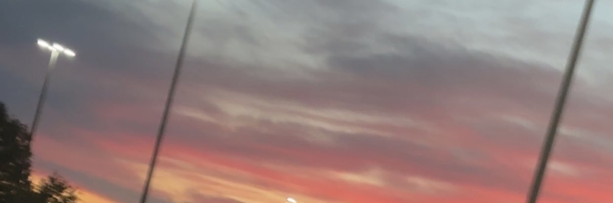 desidemon06's profile banner image