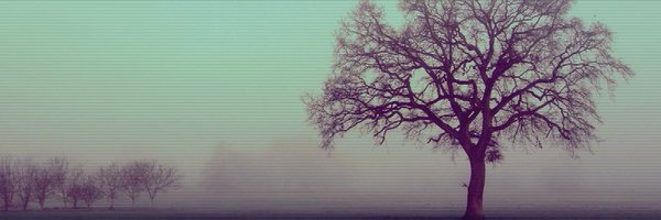 Pixolot Profile Banner