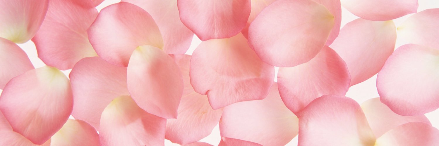MorganeBeaudet's profile banner image