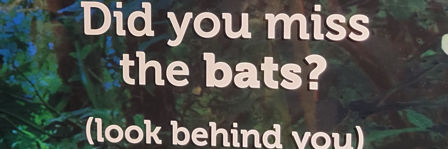 mutesarcasm's profile banner image
