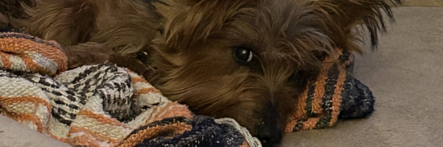 agjohnson69's profile banner image