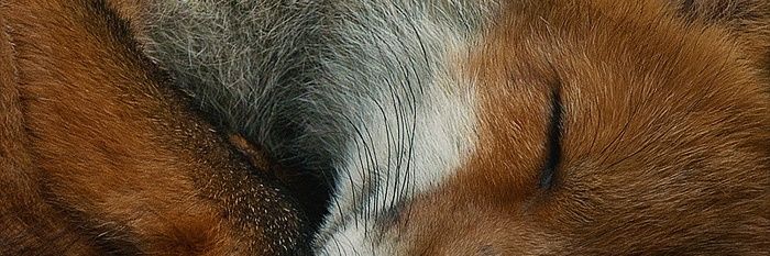 BeaAmado_'s profile banner image