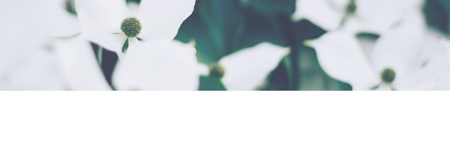 CirceMuse's profile banner image