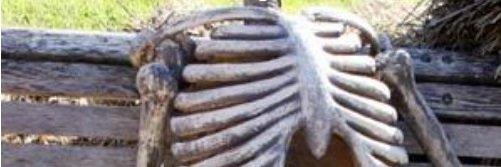 robby_ashter's profile banner image