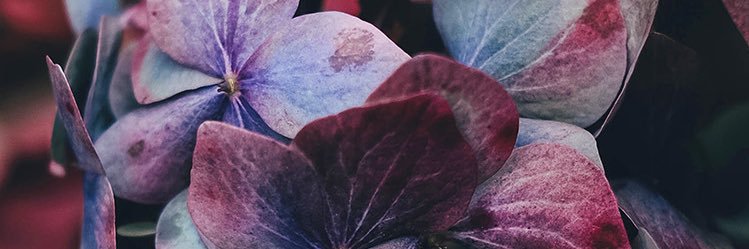 TamaraElsa's profile banner image