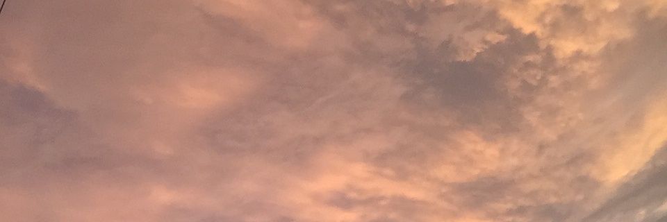 Sls55566's profile banner image
