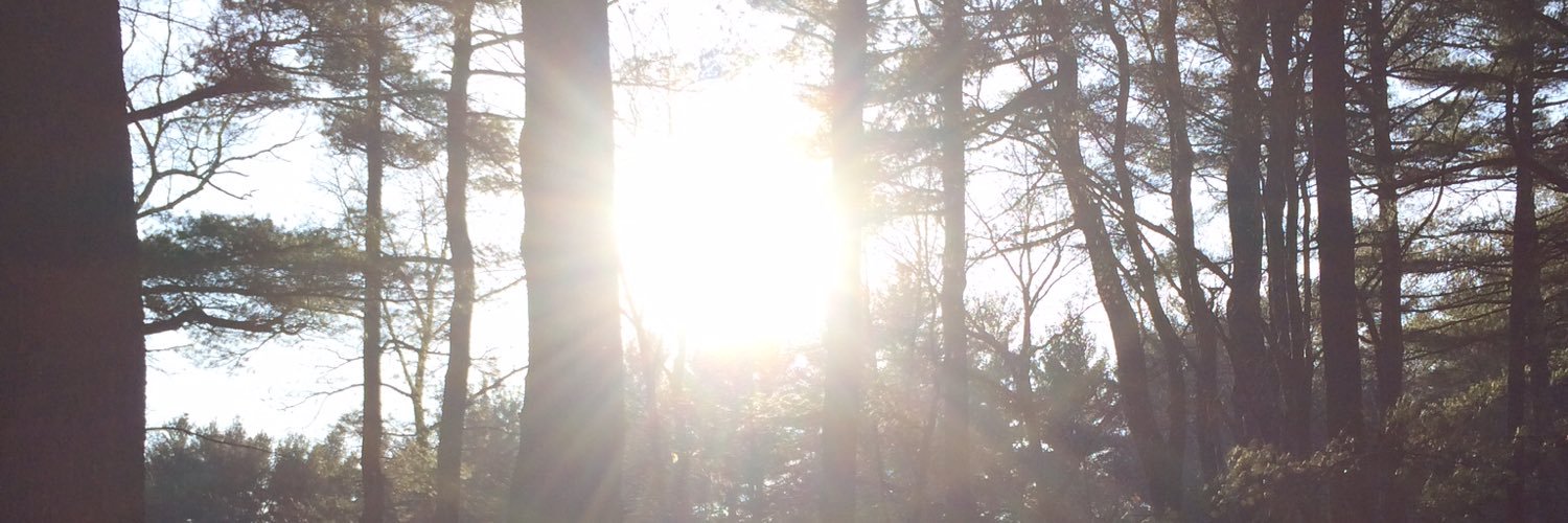 wallickc13's profile banner image