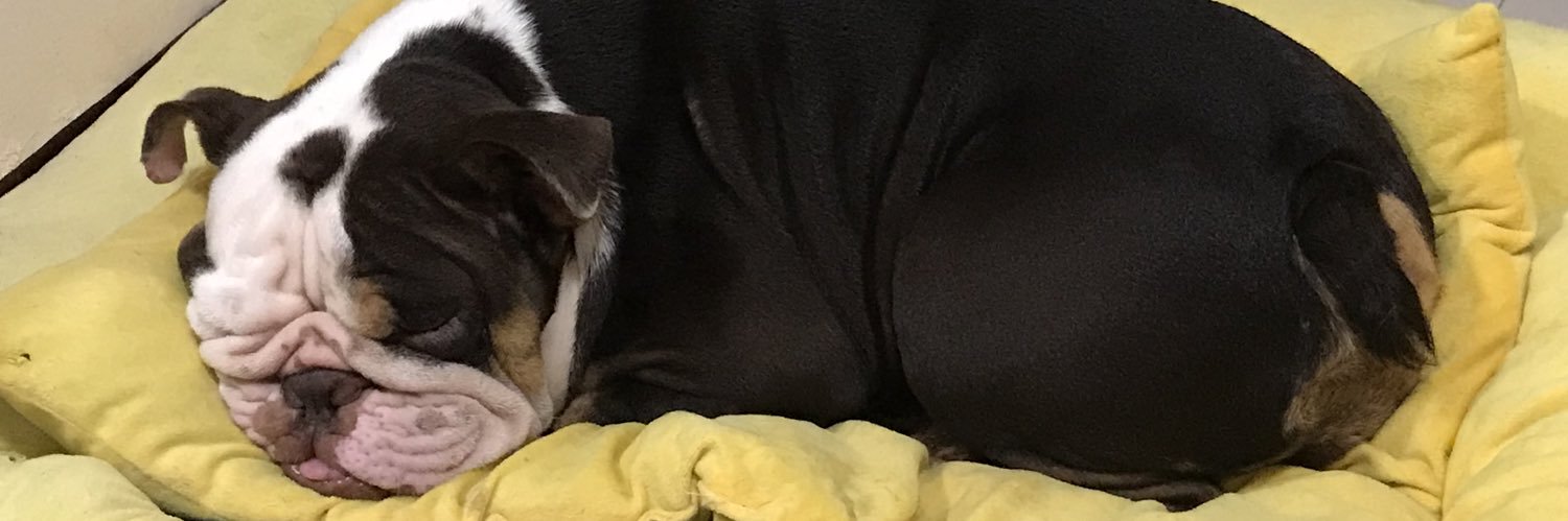 rararaaa__'s profile banner image