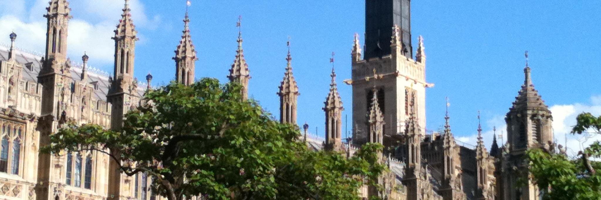 Tiziana Andriuzzi banner