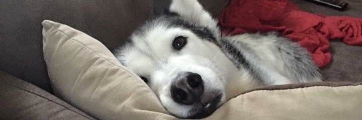 Navyma33's profile banner image