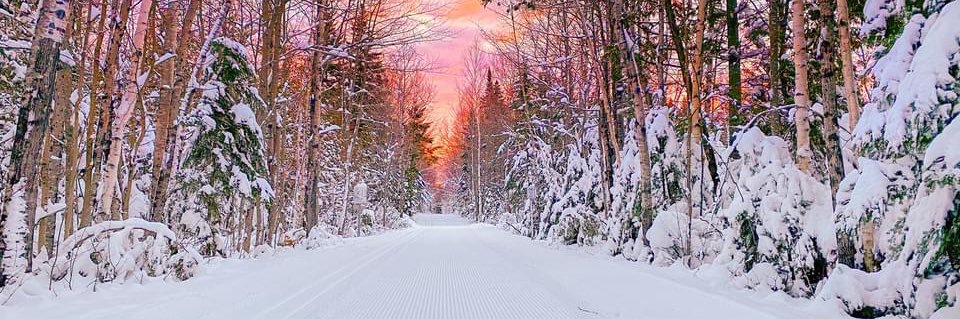 Ashleigh 🦞 banner