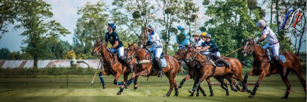 Fédération Fr Polo banner