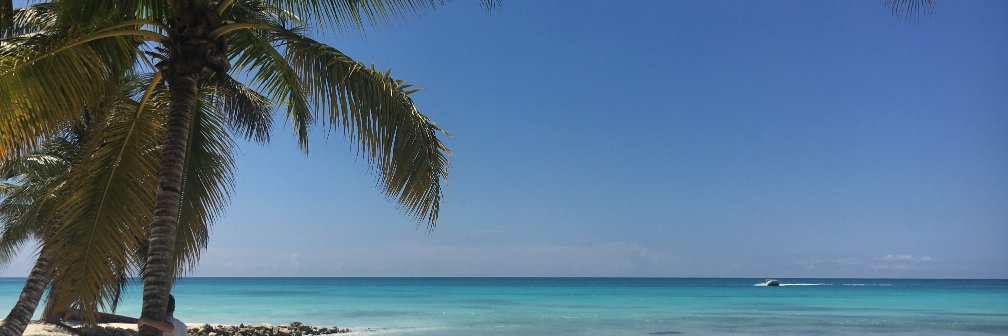 Laurene Niles banner