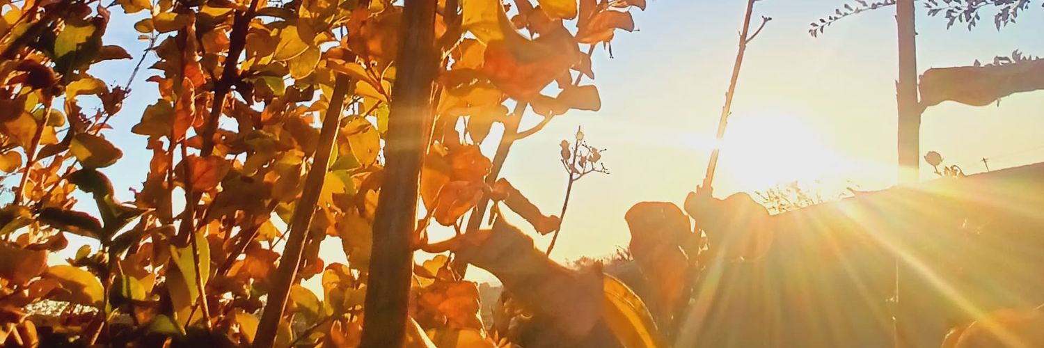 nomilycious's profile banner image