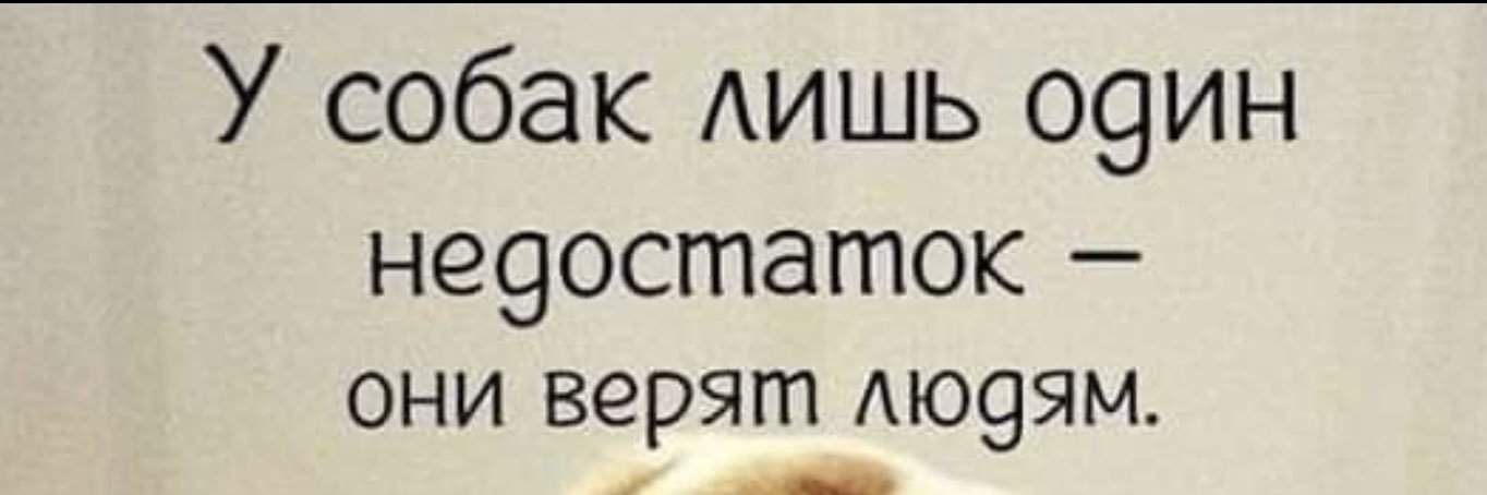 KpacomaKoca's profile banner image
