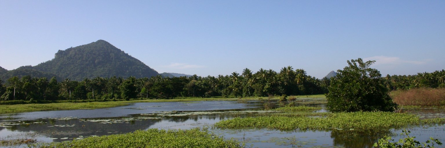Centre for Pesticide Suicide Prevention banner