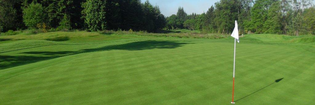 striturf_boyes's profile banner image