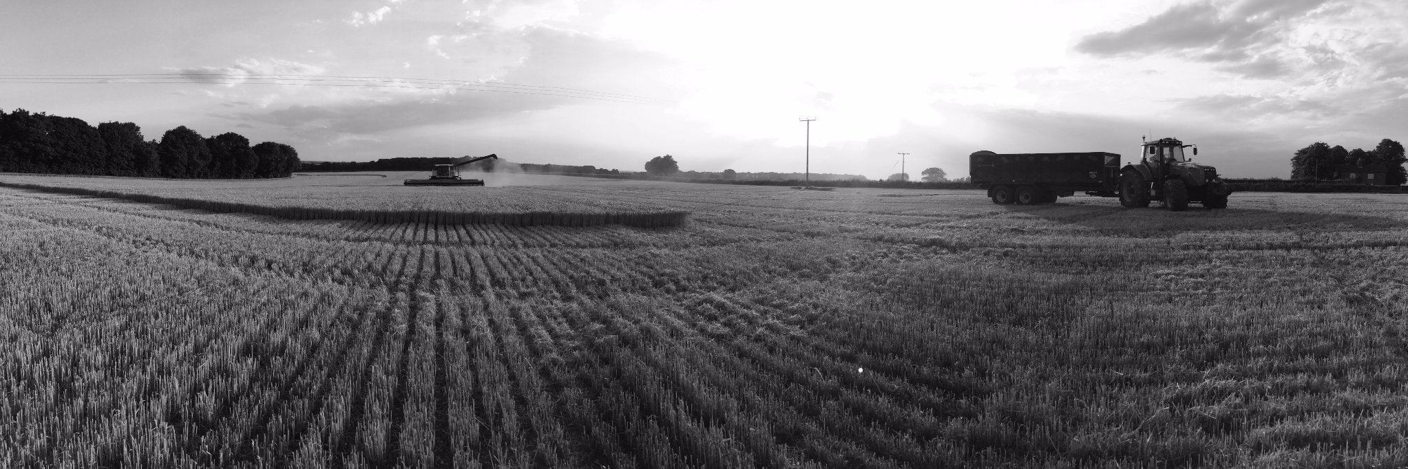ActiveBPFarming's profile banner image