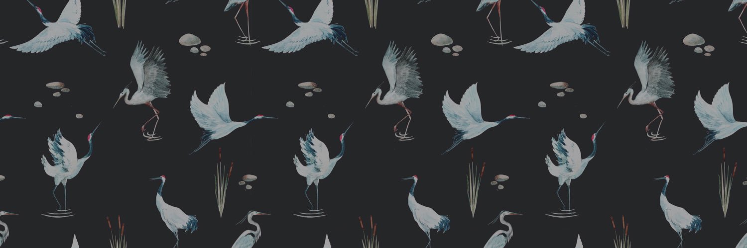 Javier López banner