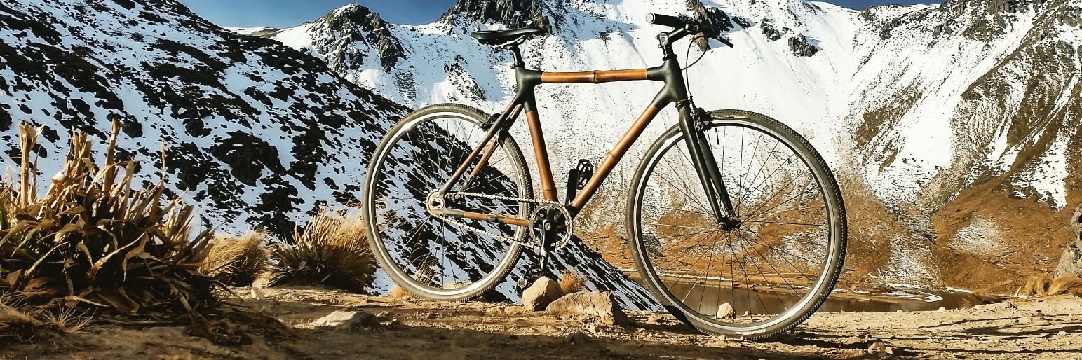 Bamboocycles banner