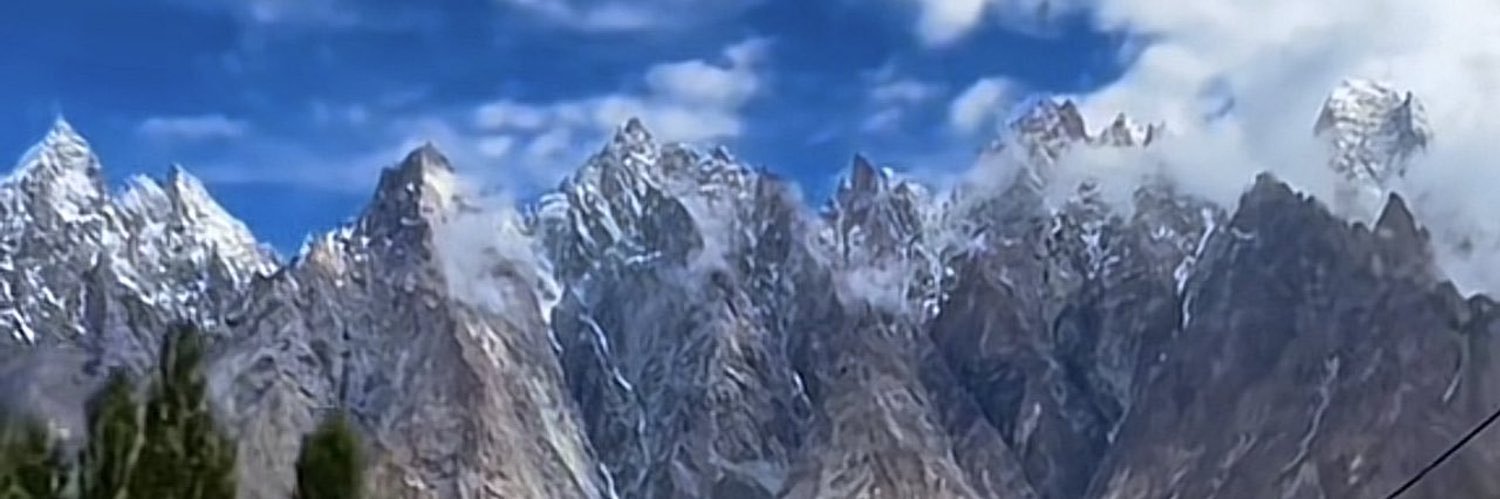 Fehmida S. Bercha banner