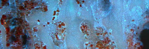 OA_Lab_CHUV Profile Banner
