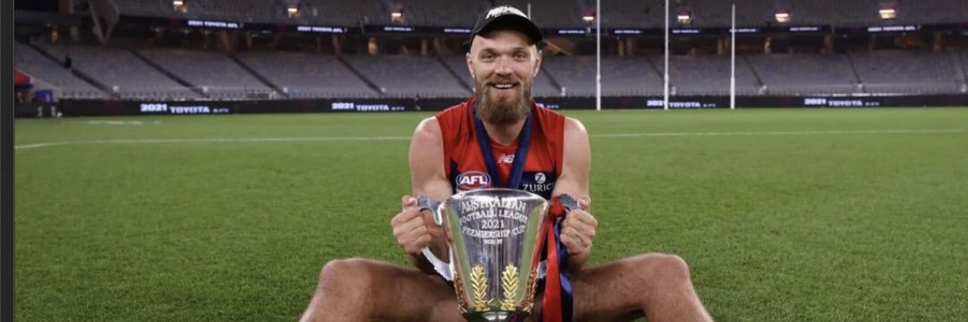 stevie banner