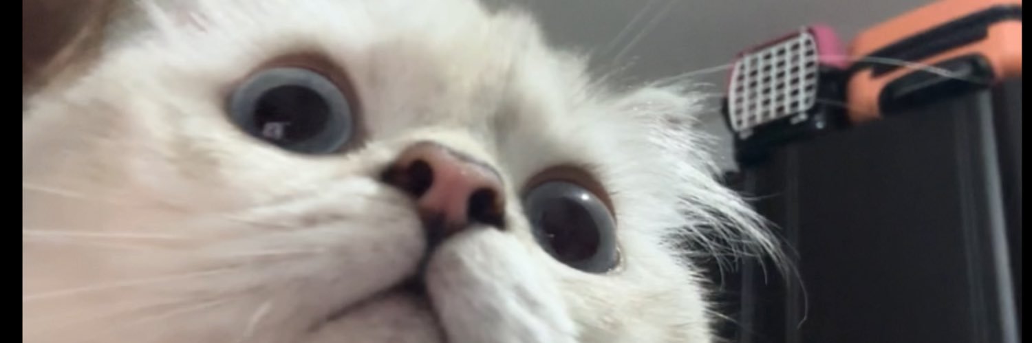 whatarottenday's profile banner image