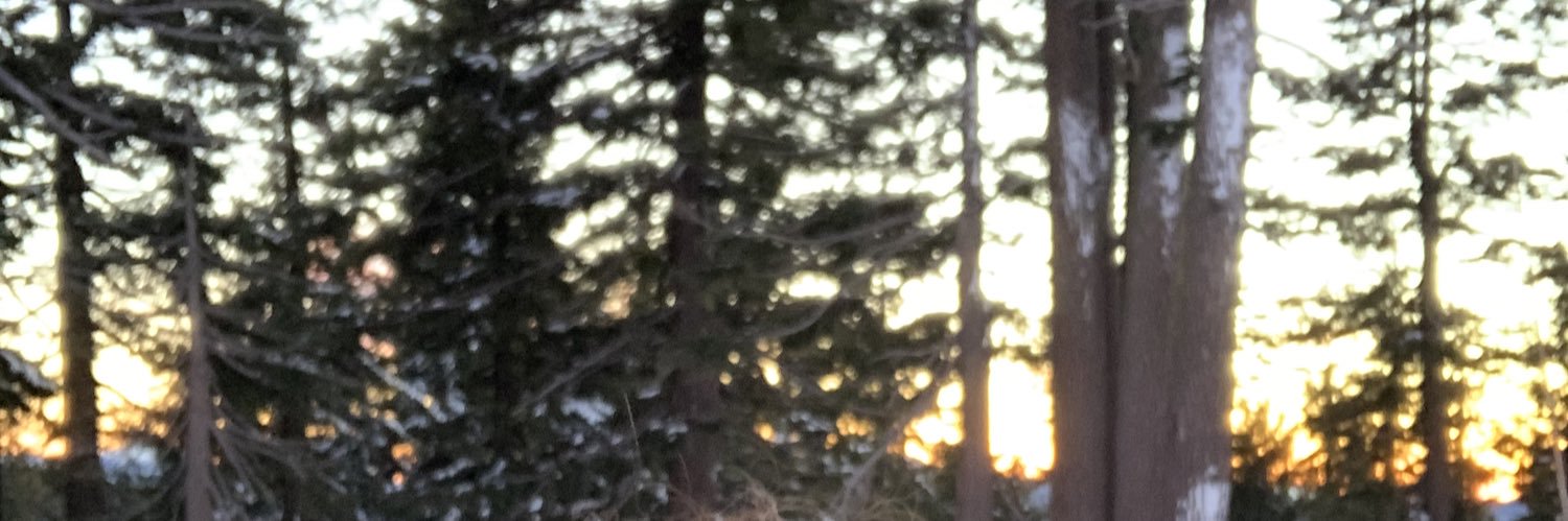 robertoradiofm's profile banner image