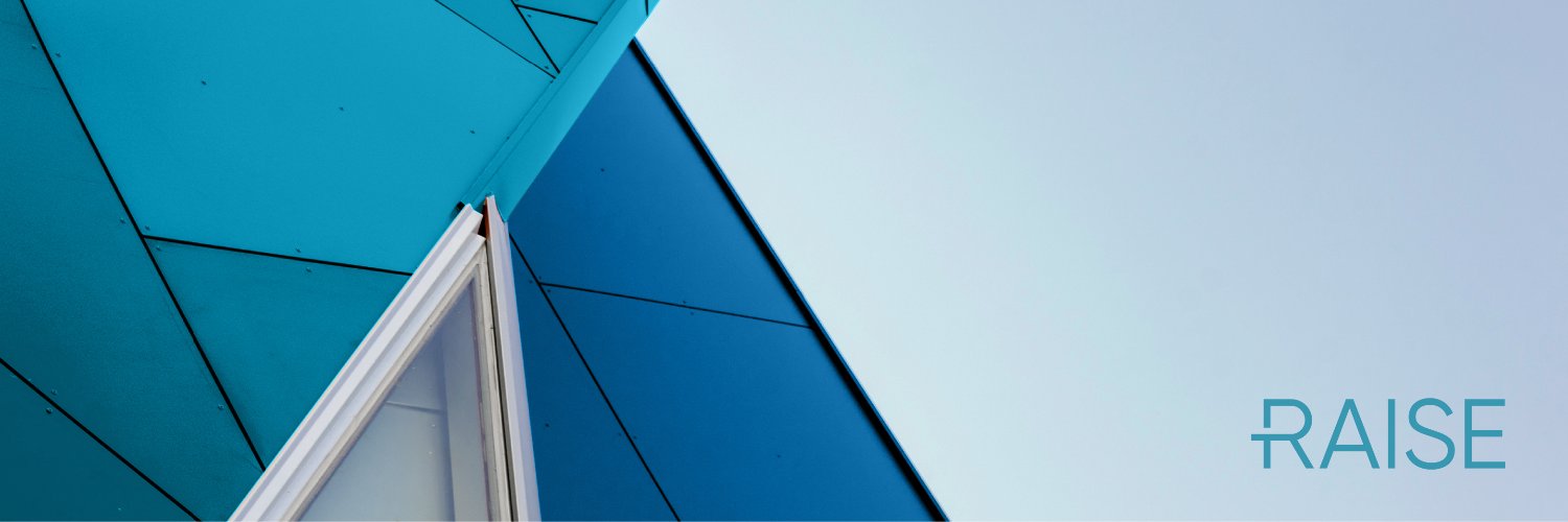 RAISE Global banner
