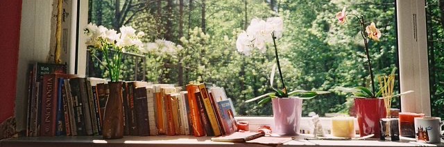 aloma 🦋 banner