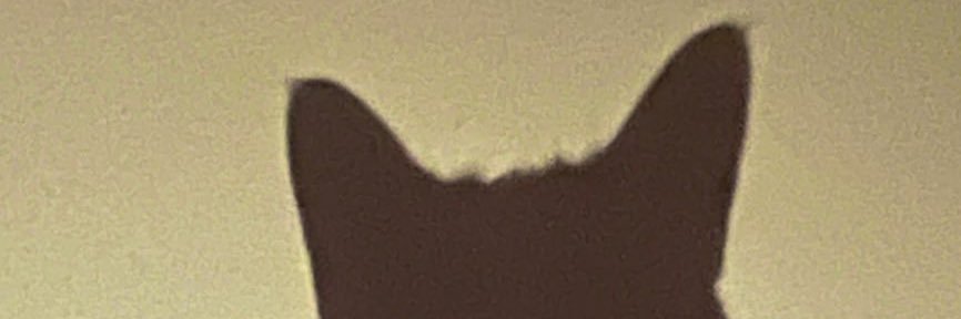 ミケ banner