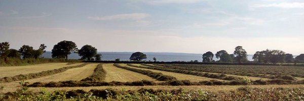 jimtgreer Profile Banner