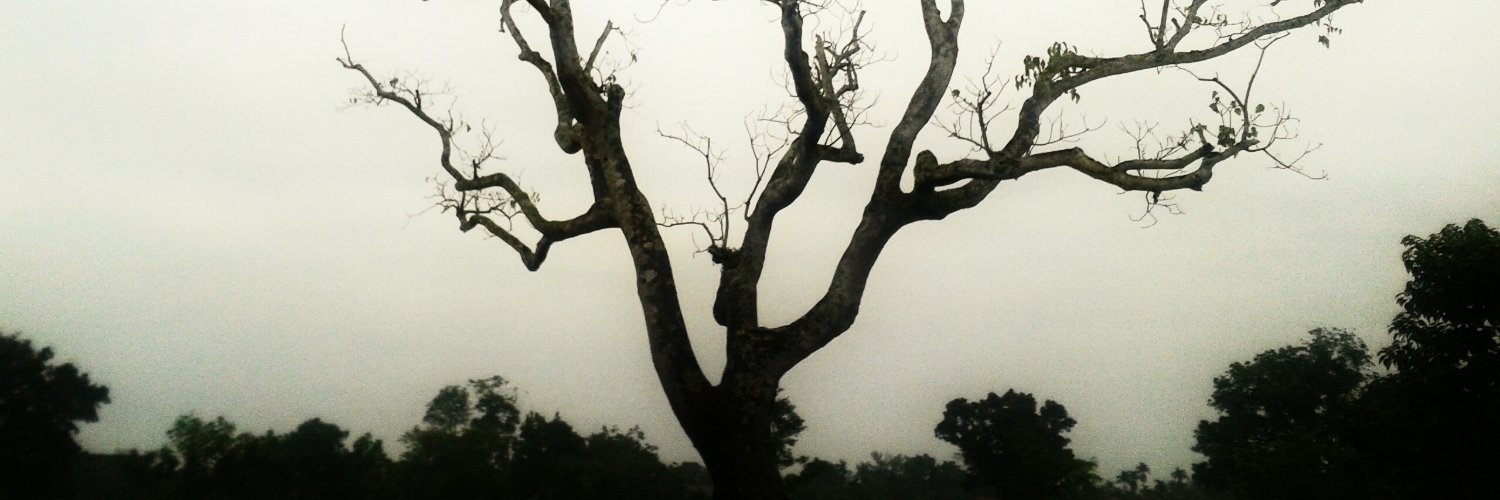 madhusein's profile banner image