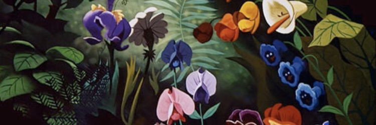 sydschaef182's profile banner image