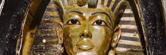longliveegypt97's profile banner image