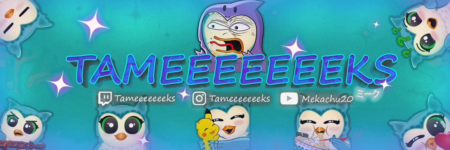 Tameeeeeeeks's profile banner image