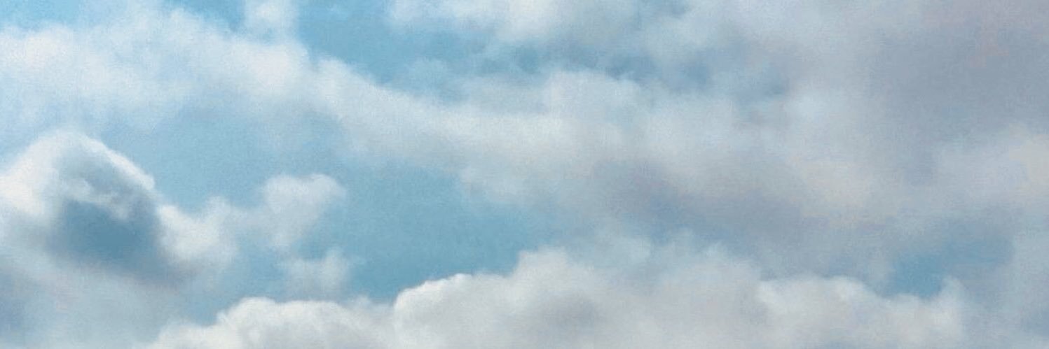 colifers's profile banner image
