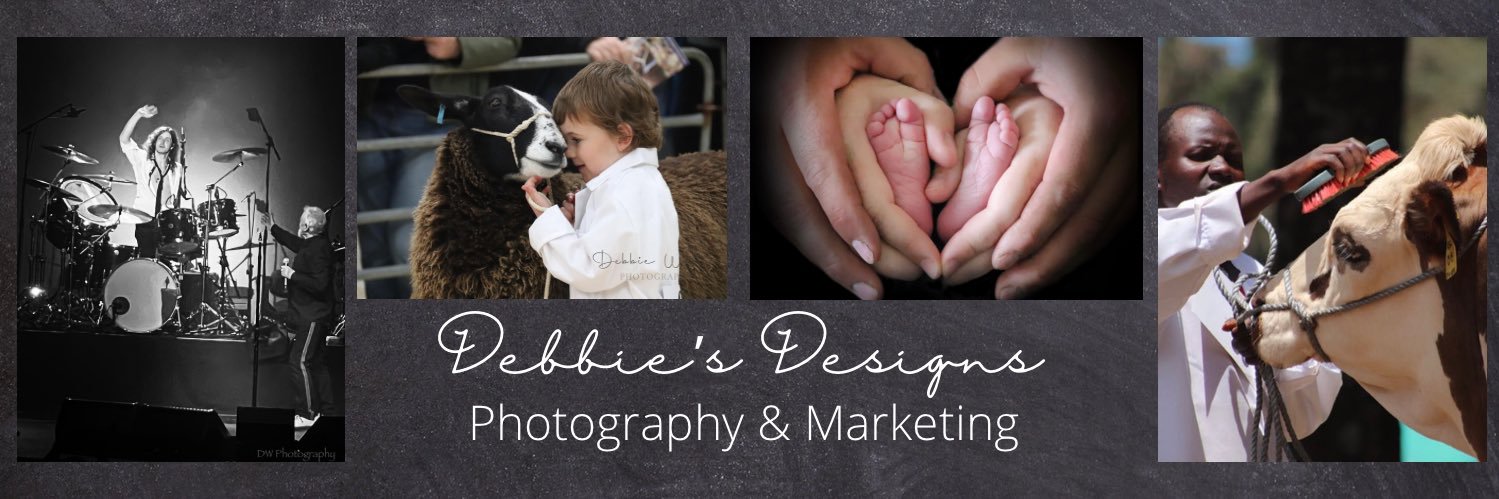Debbies Designs Photography & Marketing banner