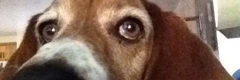 JesseCrain1's profile banner image