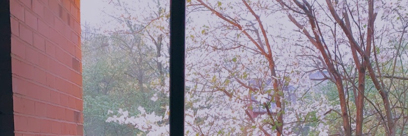Hndmoon88's profile banner image
