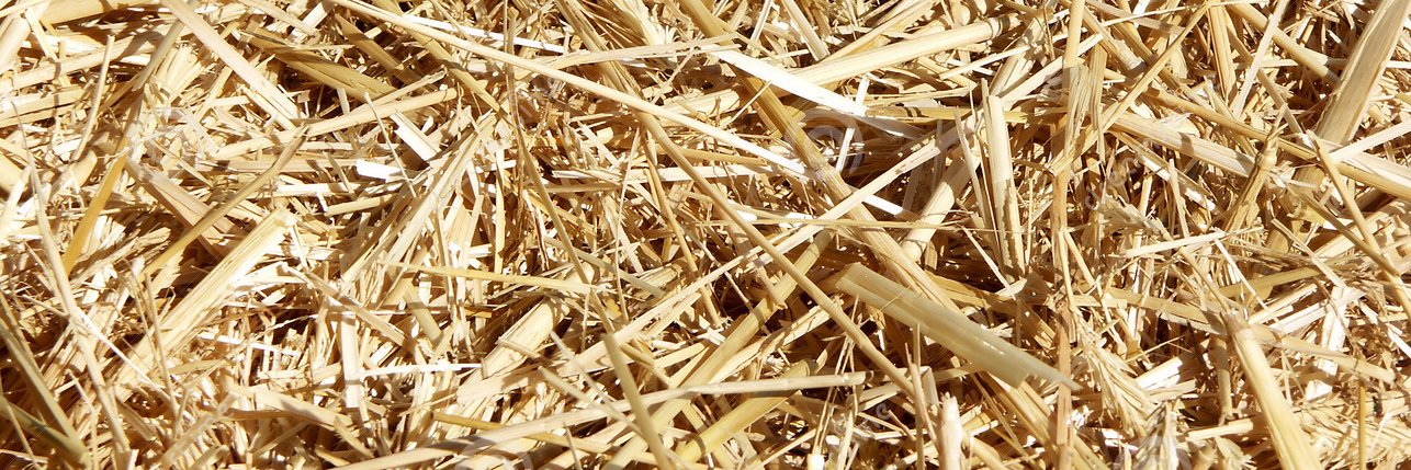 vdenakker's profile banner image