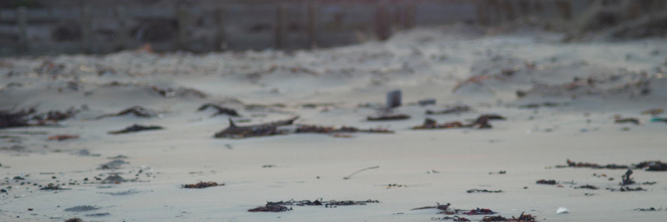 gilescornah's profile banner image